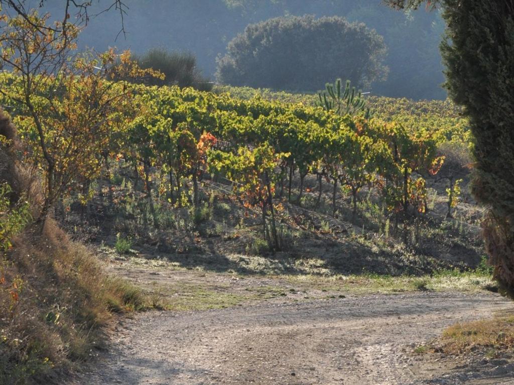 Domaine Saint Victor Hotel La Tour-d'Aigues ภายนอก รูปภาพ